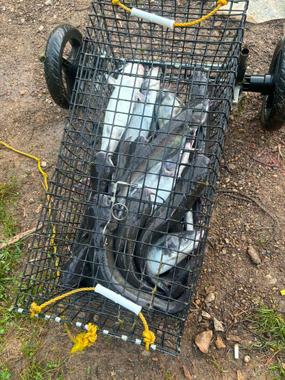 Marshmallow Madness Bait Soak