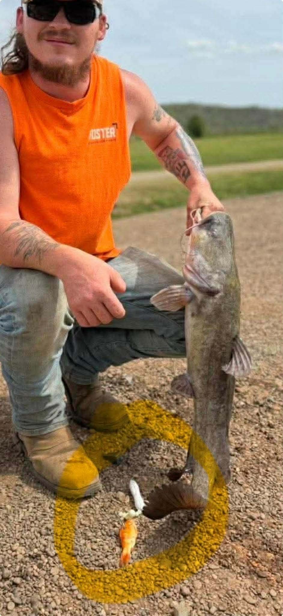 Kentucky Kat Rig