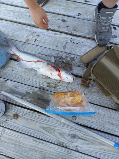 Kentucky Ridge Renegade Bait Soak