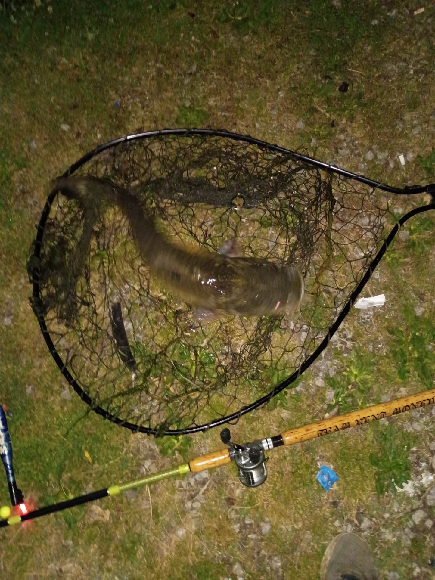 Dr. Chub Bait Soak