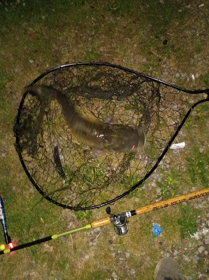 Dr. Chub Bait Soak