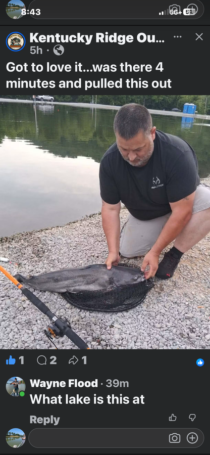 Sunfish Slaughter Bait Soak
