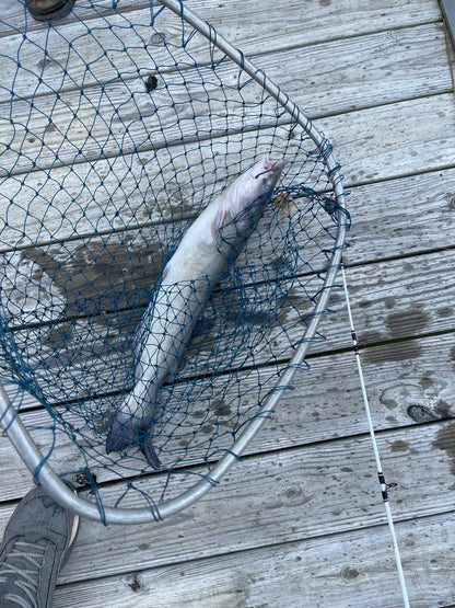 Sunfish Slaughter Bait Soak