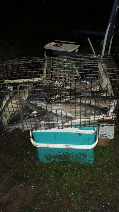 Sunfish Slaughter Bait Soak